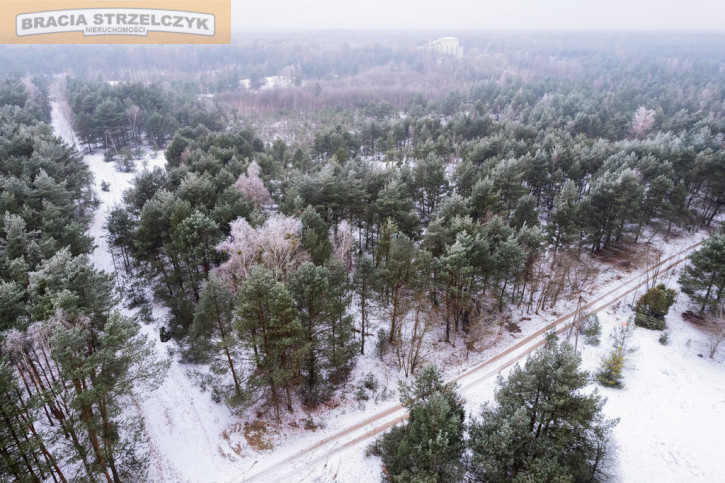 Działka Sprzedaż Michałów-Reginów 4